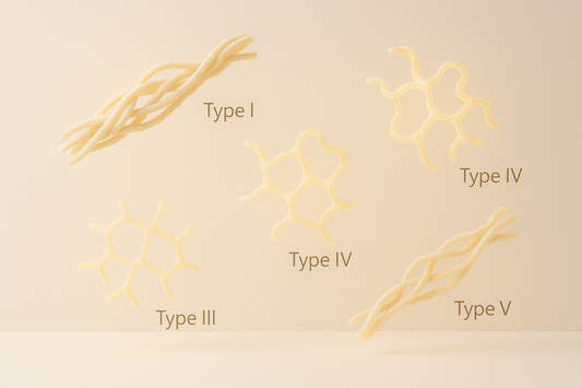 5 Types of Collagen: What Each One Does for Your Body